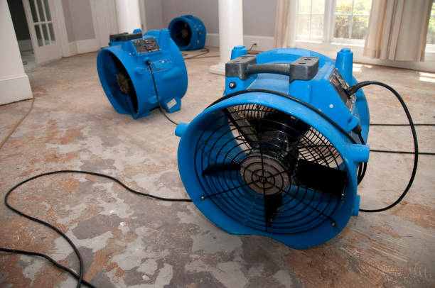 Trusted Ackerman, MS Water damage restoration Experts