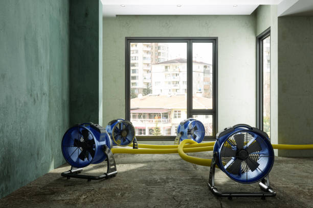 Water damage restoration experts in Ackerman, MS